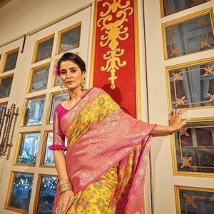 Women party wear Saree